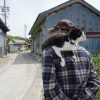 佐久島で猫写真に挑戦