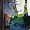 さぬき広島で猫写真